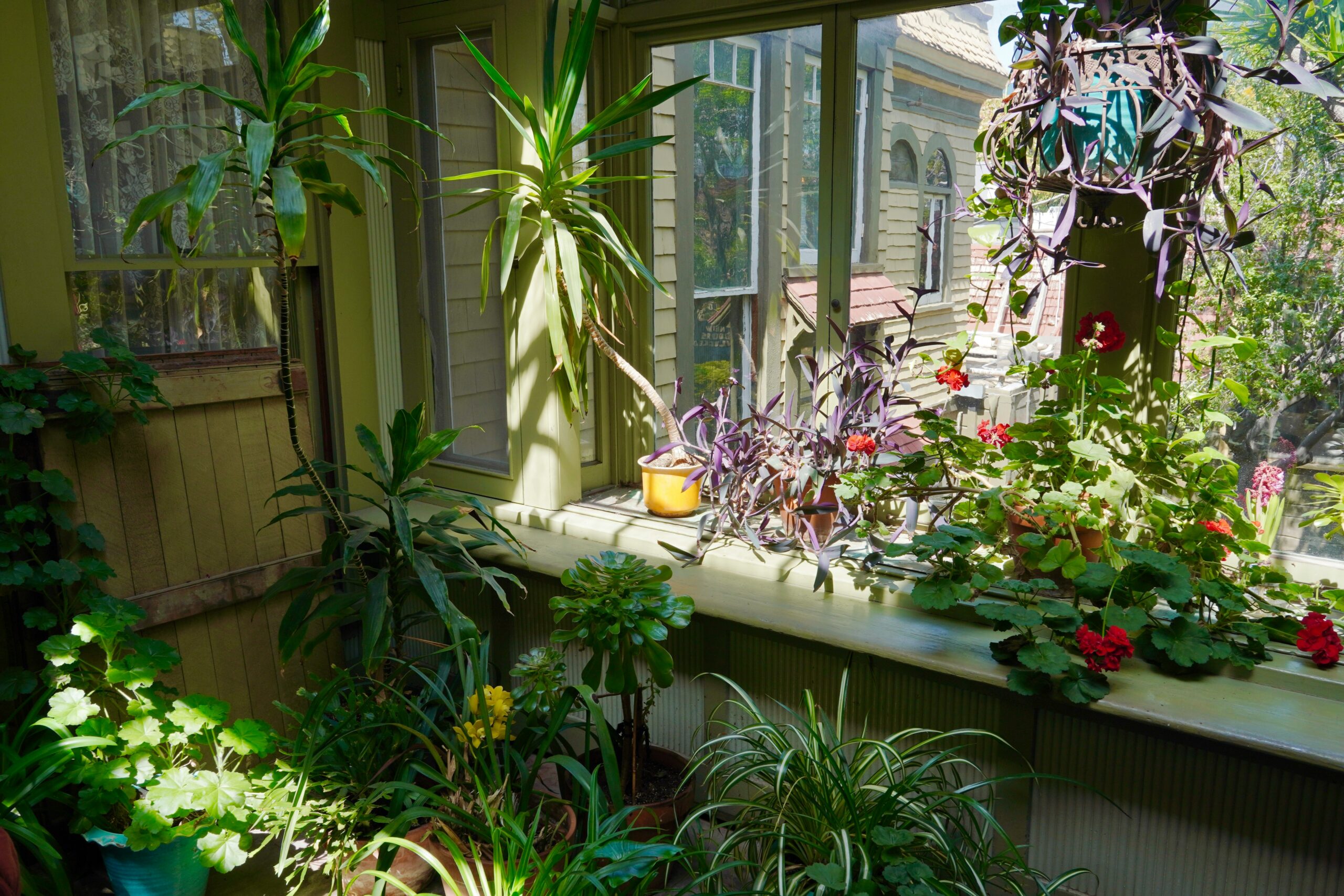 How to Get Rid of Mosquitoes Inside the House Naturally: 15 Safe and Effective Methods That Really Work