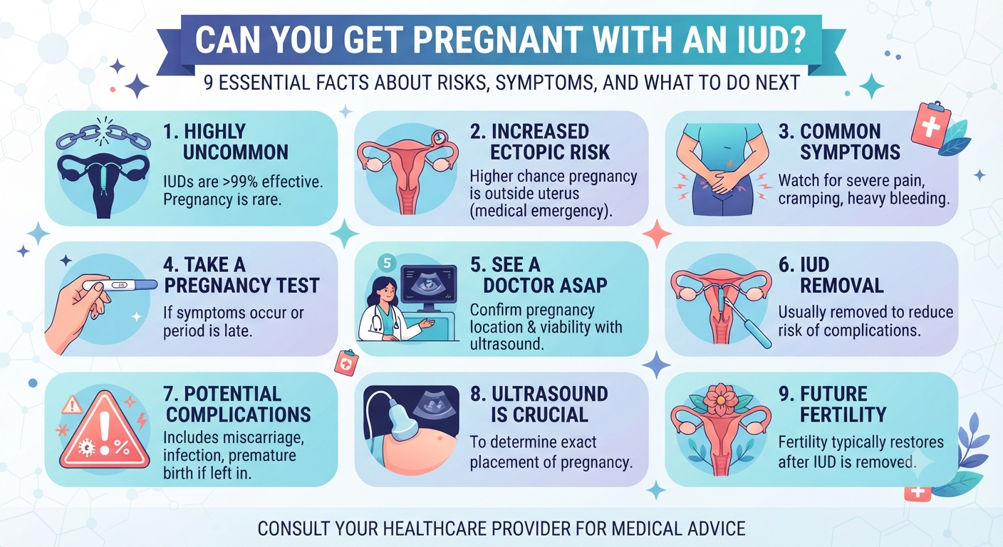 Can You Get Pregnant With an IUD? Educational illustration showing an intrauterine device (IUD), the uterus, and information about pregnancy risks and reproductive health.
