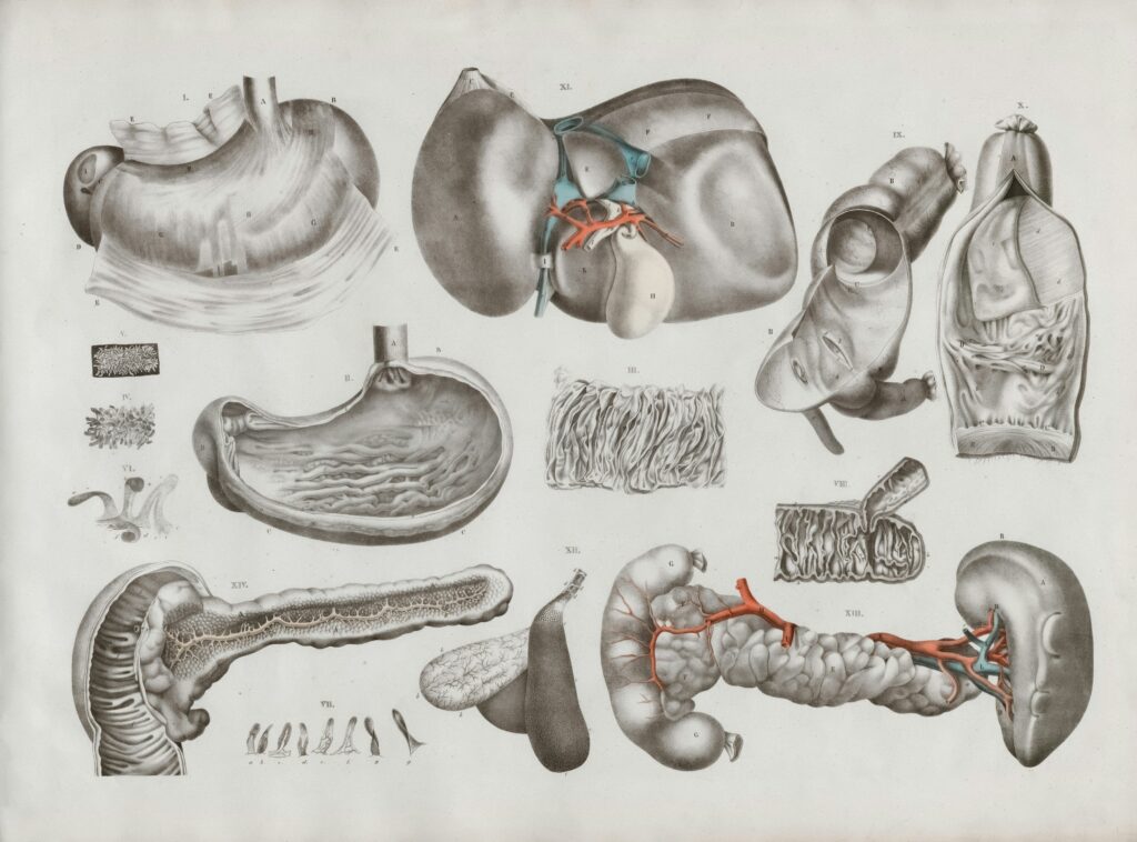 Why does smoking make you poop? A guide to nicotine's effects on digestion and bowel habits.
