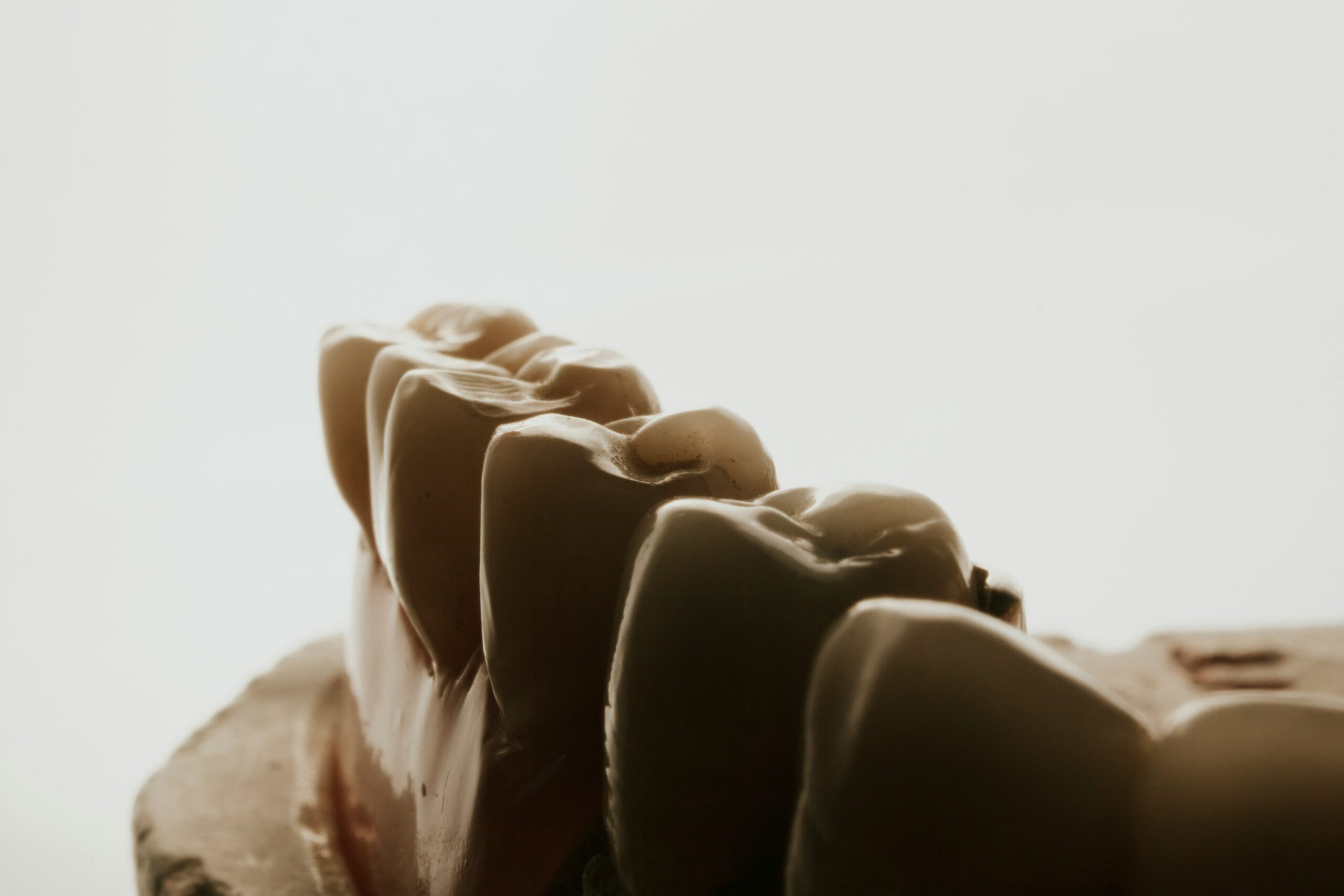 How Much to Fix a Chipped Tooth? Helpful Cost Guide, Treatment Options, and What to Expect