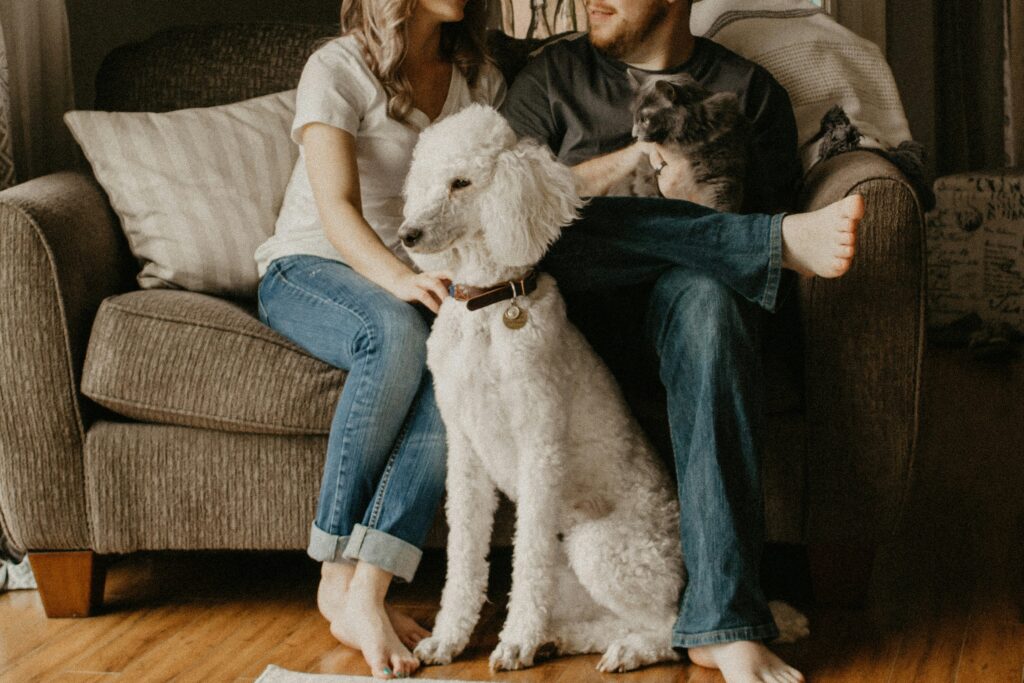 The Ultimate Pet Guide Lwmfpets from LookWhatMomFound covering feeding, exercise, grooming, behavior, preventive care, and safe pet ownership.