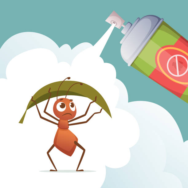 Why Do Ants Keep Coming Back After You Spray Them?